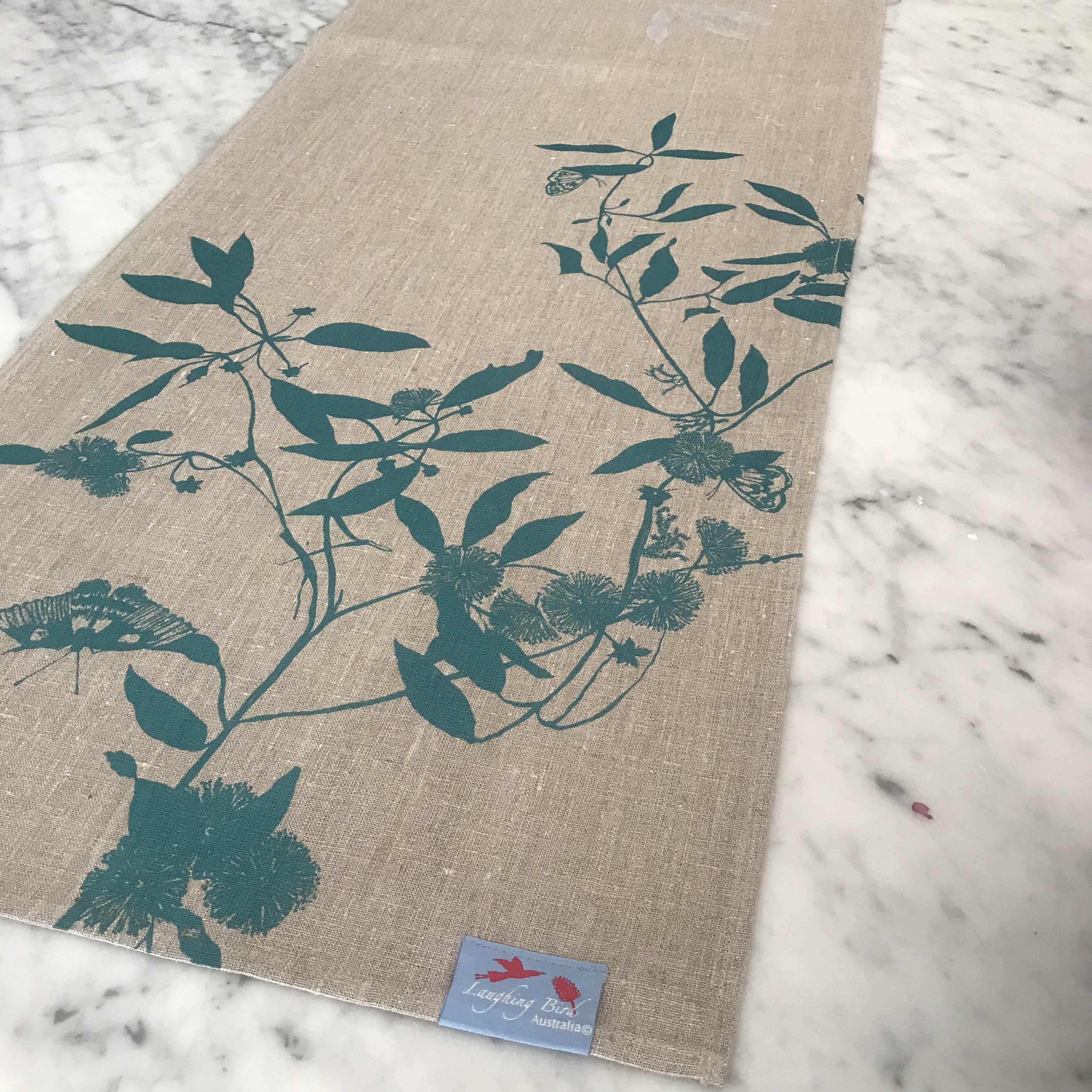 Callicoma Serratifolia