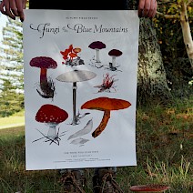 Autumn Fungi Field Study .B